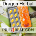 Dragon Herbal new05